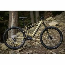 VTT Électriques Superior EXF 8089 Olive Matt / Chrome Silver 24 VTT Électriques Superior EXF 8089 Olive Matt / Chrome Silver -Vélos Urbains Soldes Magasin e x f 8089 olive matt 2 700x700 2