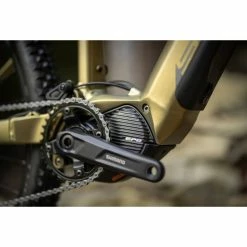 VTT Électriques Superior EXF 8089 Olive Matt / Chrome Silver 20 VTT Électriques Superior EXF 8089 Olive Matt / Chrome Silver -Vélos Urbains Soldes Magasin e x f 8089 olive matt 5 700x700 1