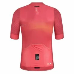 Maillot Manches Courtes Gobik Carrera 2.0 Paradise Unisex -Vélos Urbains Soldes Magasin maillot unisex carrera paradise gobik warm series22 2 700x700 5
