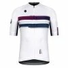 Maillot Manches Courtes Gobik Cx Pro Berry Streak Unisex -Vélos Urbains Soldes Magasin maillot unisex cxpro berry streak gobik warm series22 1 700x700 1